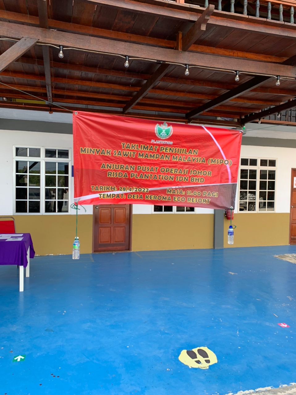 kelapa sawit122